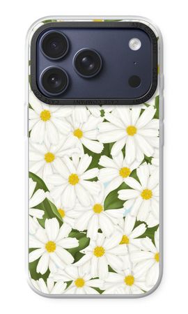 Summer Daisies