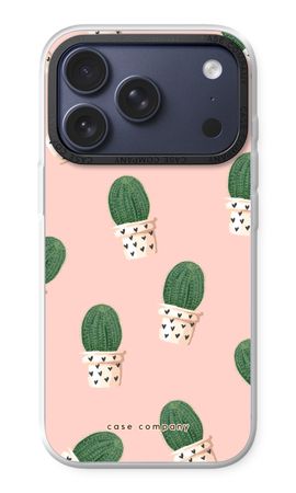 Kaktus rosa