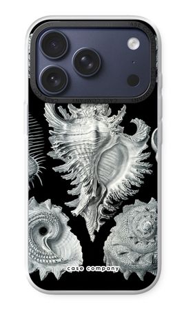 Haeckel Prosobranchia