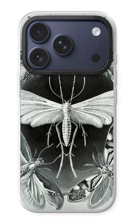Haeckel Tineida