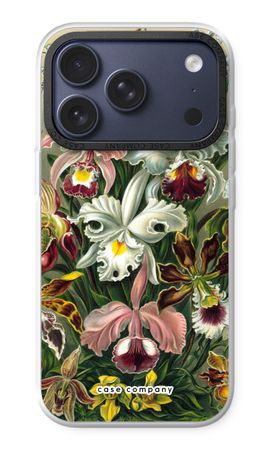 Haeckel Orchidae