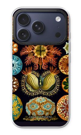Haeckel Ascidiae