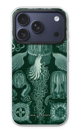 Haeckel Cubomedusae