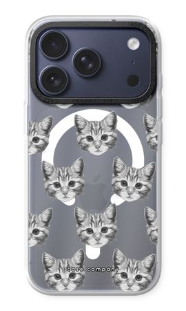 Kitten