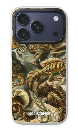 Haeckel Lacertilia