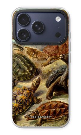 Haeckel Chelonia