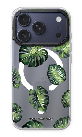 Tropical leaves
