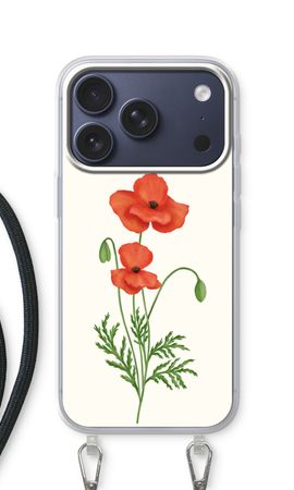 Red poppy