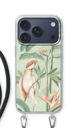 Tropical Parrot