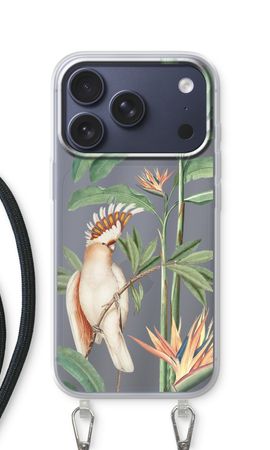 Tropical Parrot