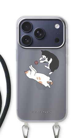 Playing cats