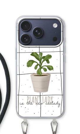 Houseplant on windowpane