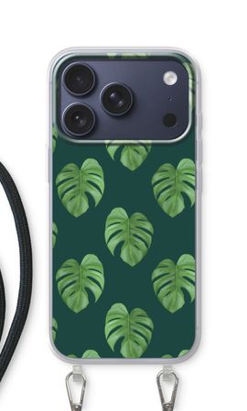 Monstera leaves
