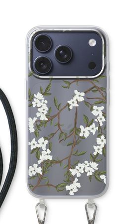Blossoming spring