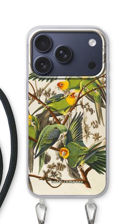 Carolina Parrot