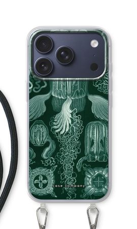 Haeckel Cubomedusae