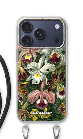 Haeckel Orchidae
