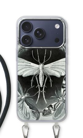 Haeckel Tineida