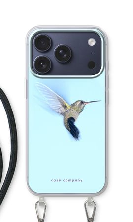 Hummingbird