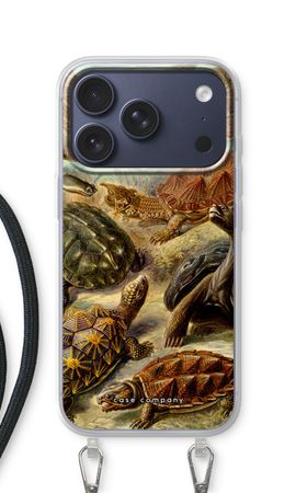 Haeckel Chelonia