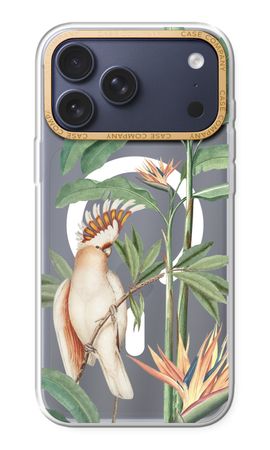 Tropical Parrot