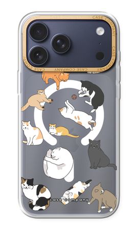 Katzen