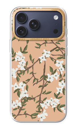 Blossoming spring