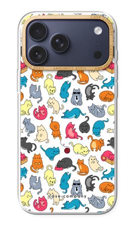 Gattini Coloratini