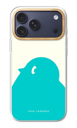 BIG Robin 1