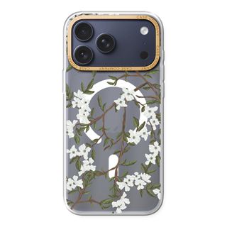 Blossoming spring