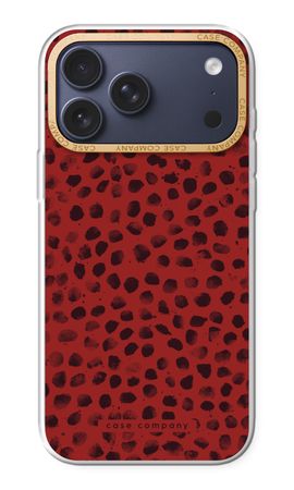 Ladybird Paint