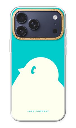 BIG Robin 2