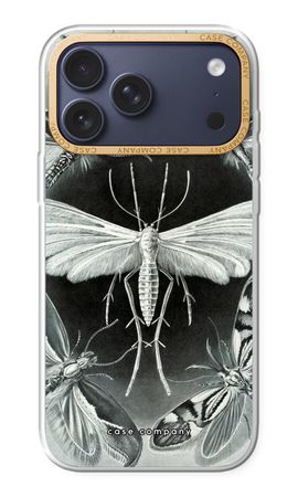 Haeckel Tineida