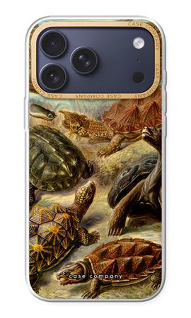 Haeckel Chelonia