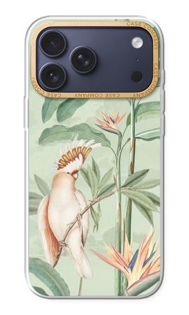 Tropical Parrot