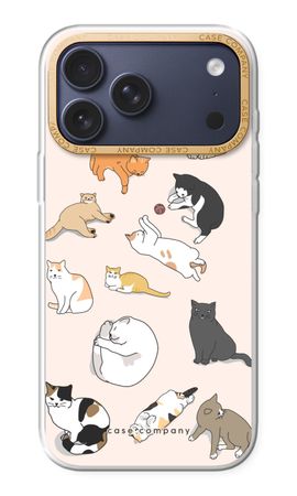 Katzen