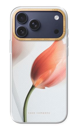 Tulip