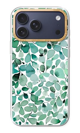 Eucalyptus à feuilles