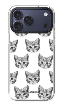 Kitten
