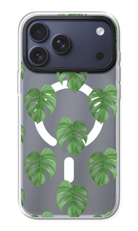 Monstera leaves