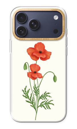 Red poppy