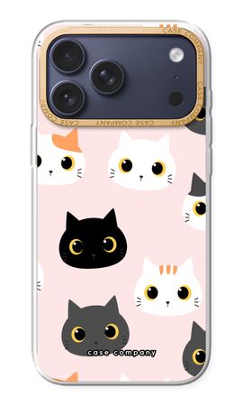 Katzen