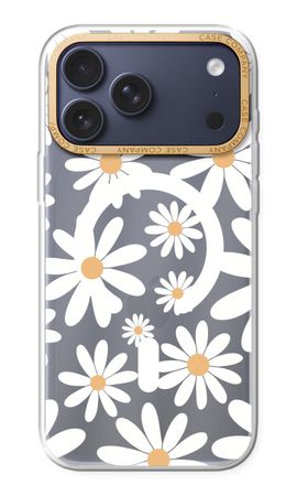 Encore des marguerites