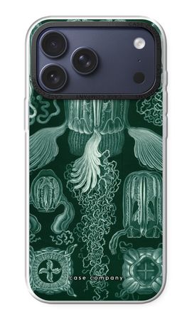 Haeckel Cubomedusae