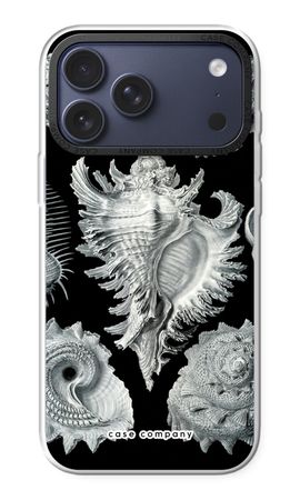 Haeckel Prosobranchia