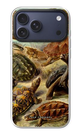 Haeckel Chelonia