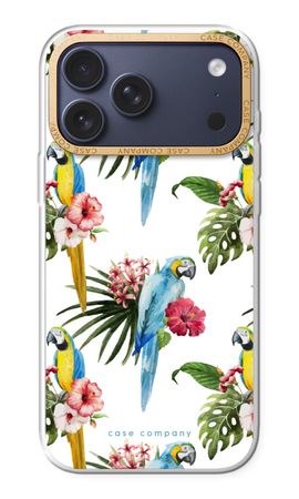 Colourful parrots