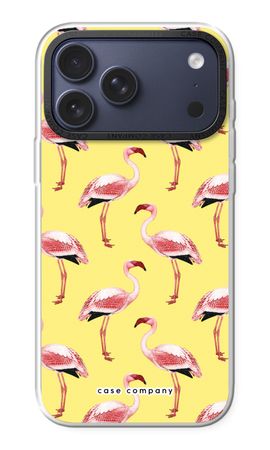 Flamingos yellow