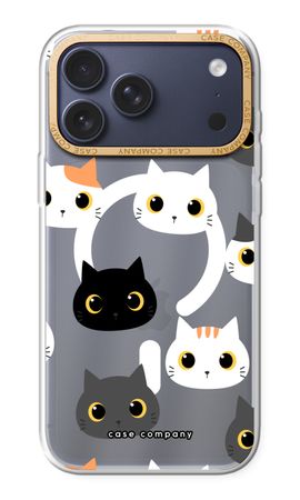 Katzen