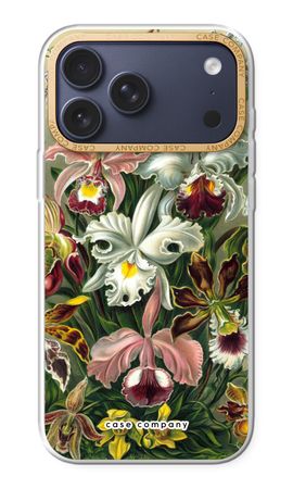 Haeckel Orchidae